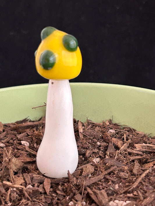 Yellow & Green Plant Stake