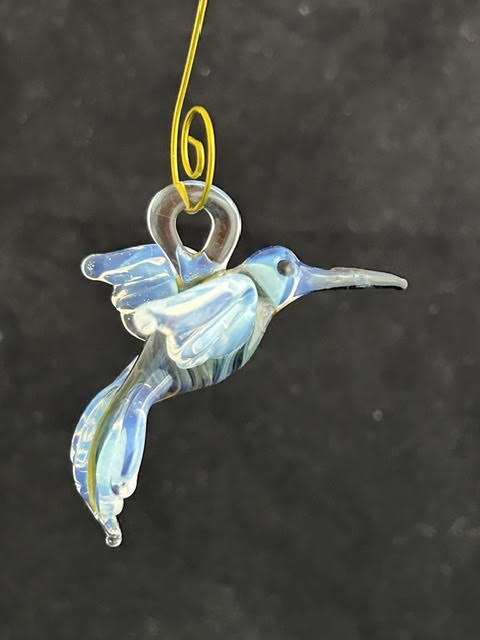 Multicolor Hummingbird